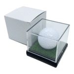 2022_dcase_3-150x150.gif