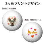 b2_design_backname-24