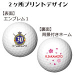 b2_emblem1_backname-3