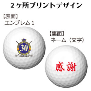 b2_emblem1_name-3003