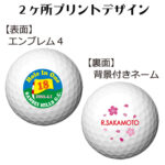 b2_emblem4_backname-29