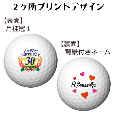 b2_type1_backname-3000