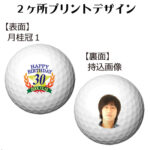 b2_type1_design-3003