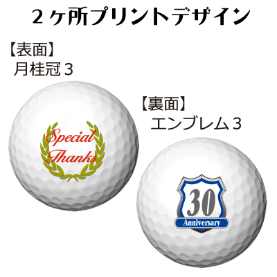 b2_type3_emblem3-3003