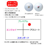 b2_design_shinsen-32