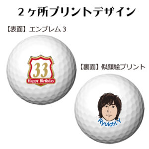 b2_emblem3_p11-46