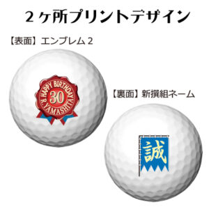 b2_emblem2_shinsen-48