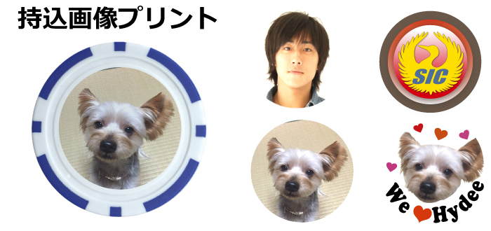 名入れゴルフマーカー持込画像デザイン