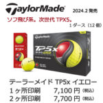 b1_name-2024tp5x_yellow