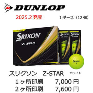 b1_name-2025zstar_yellow