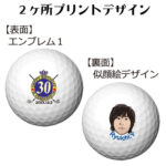 b2_emblem1_p11-122