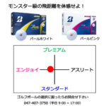 b2_emblem3_inkan-45