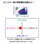 pl_2021_jgr